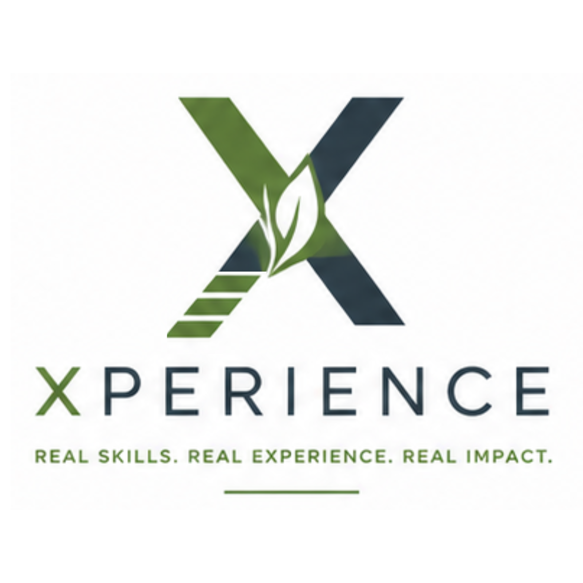 Xperience Logo